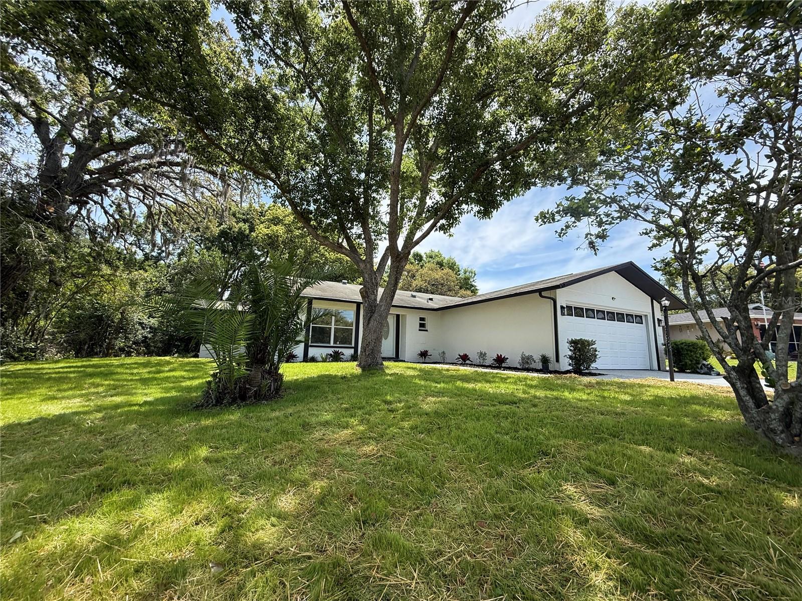 10501 Hardwood Ct, Port Richey, FL 34668 photo