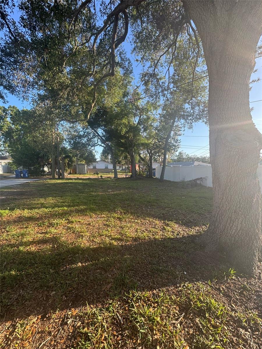 342 51 Ave, Saint Petersburg, FL 33703 photo