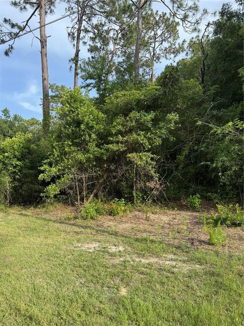  in BRONSON FL NE 67TH LN.jpg
