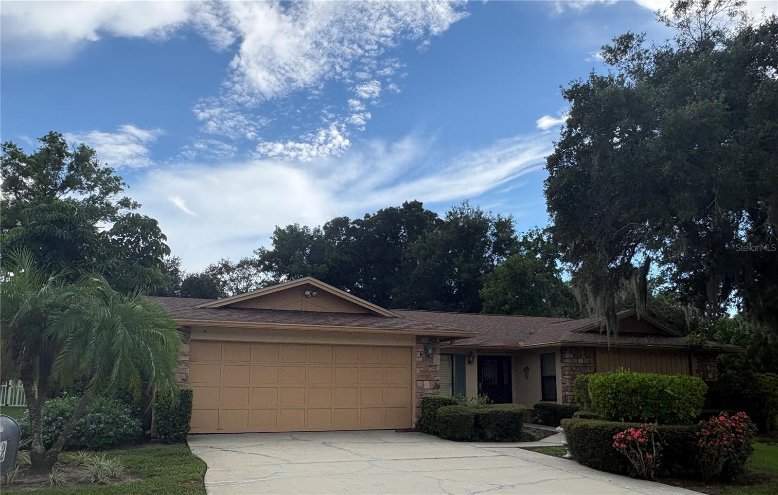 862 Pinewood Terrace, Palm Harbor, FL 34683