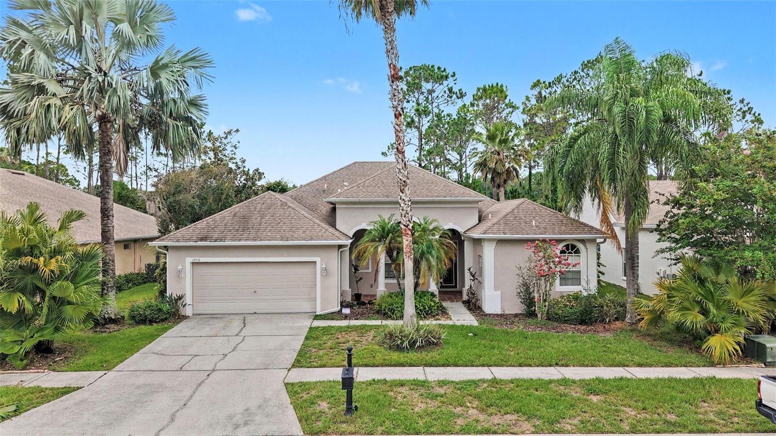 12516 Leatherleaf Dr, Tampa, FL 33626 photo
