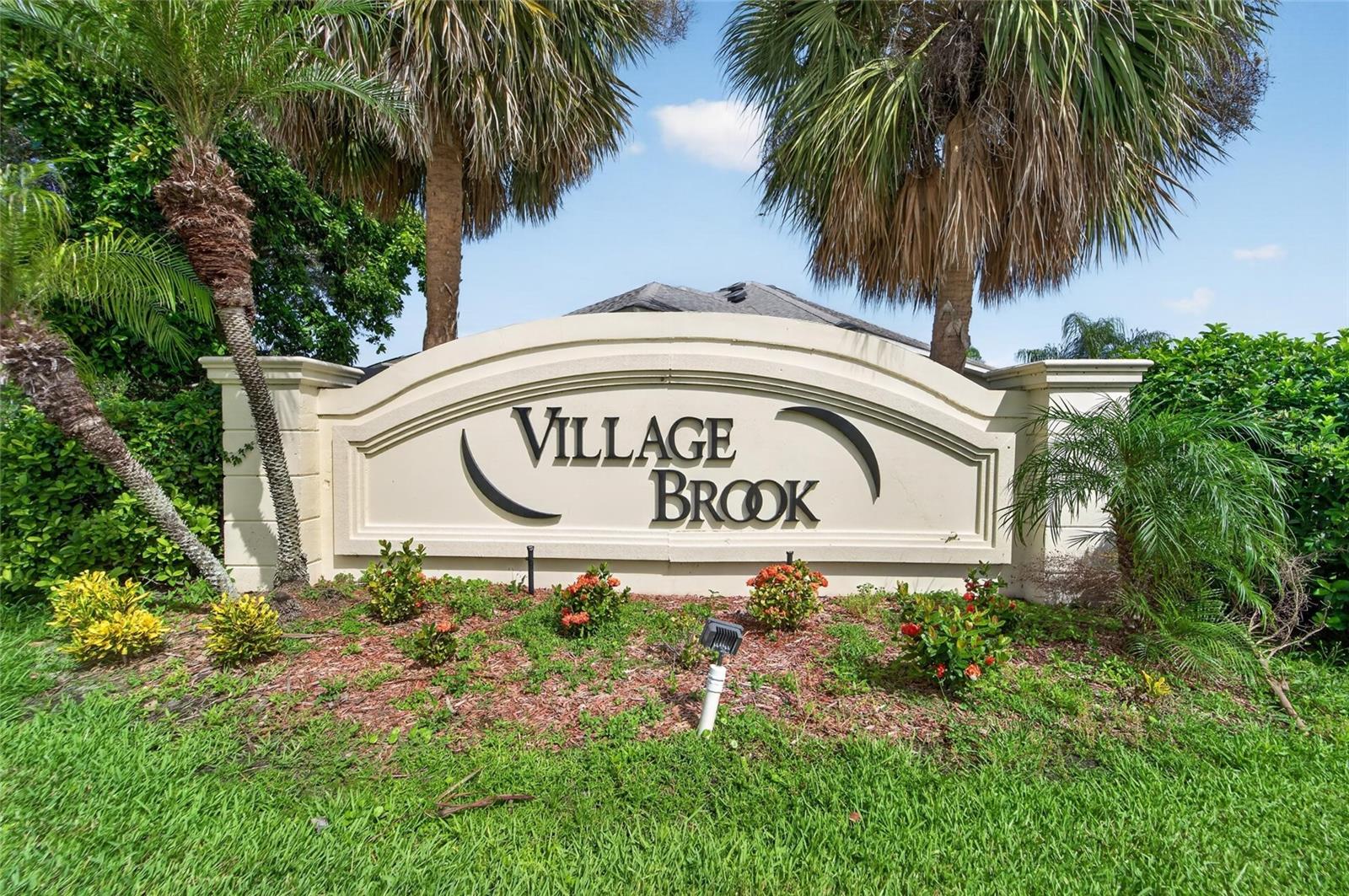 11405 Village Brook Dr, Riverview, FL 33579 photo