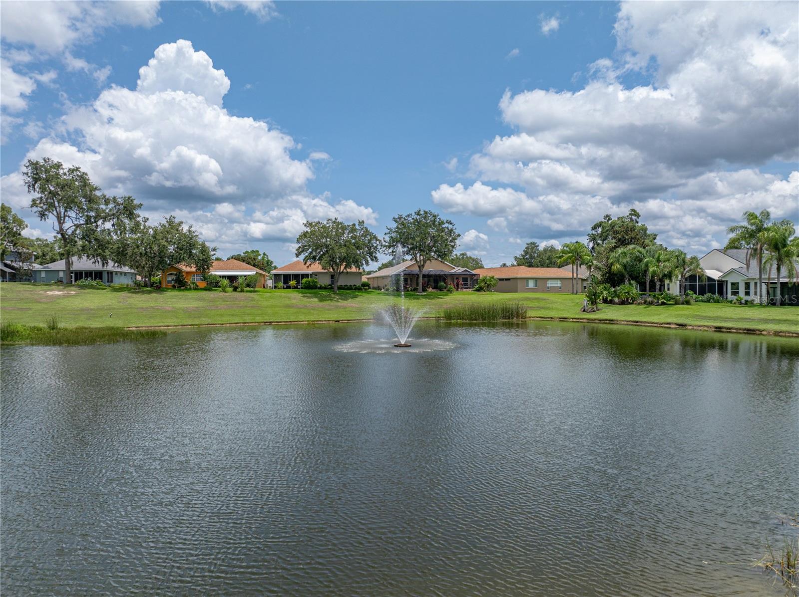 Single Family Residence in DADE CITY FL 12333 WOODLANDS CIRCLE 23.jpg