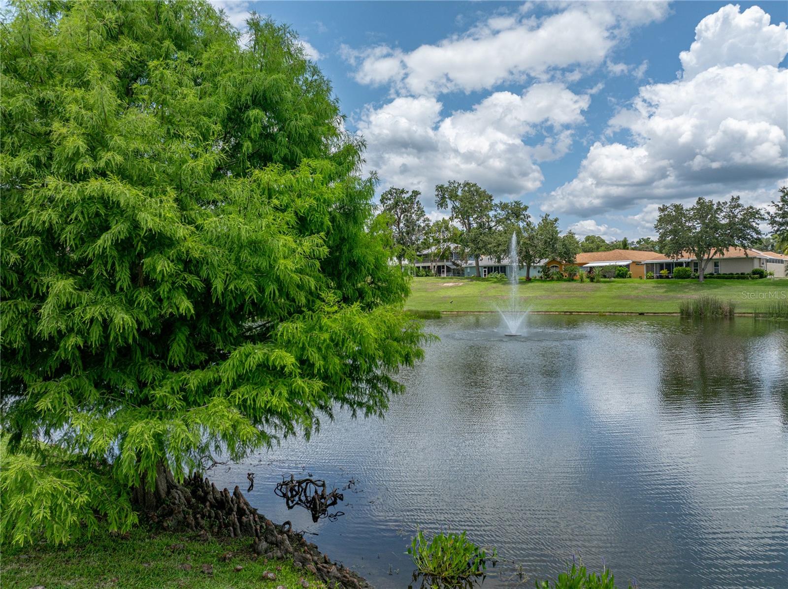 Single Family Residence in DADE CITY FL 12333 WOODLANDS CIRCLE 24.jpg