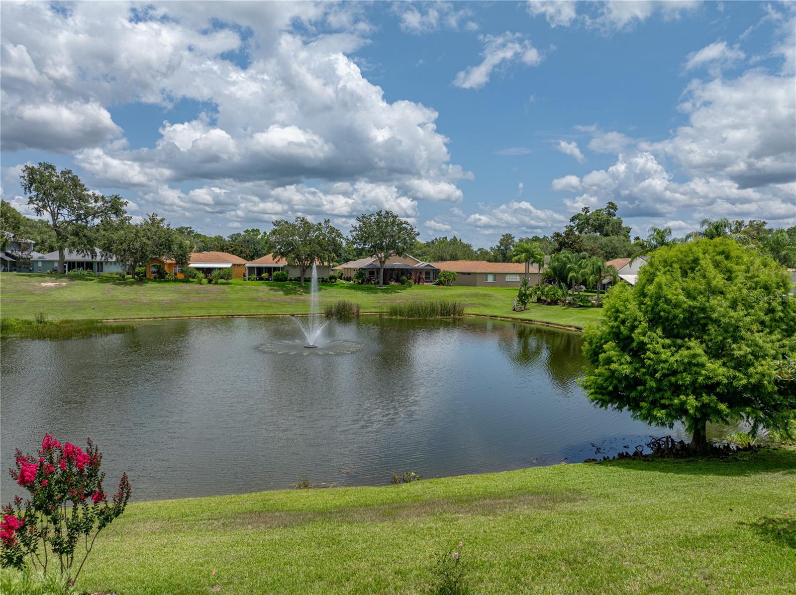 Single Family Residence in DADE CITY FL 12333 WOODLANDS CIRCLE 22.jpg