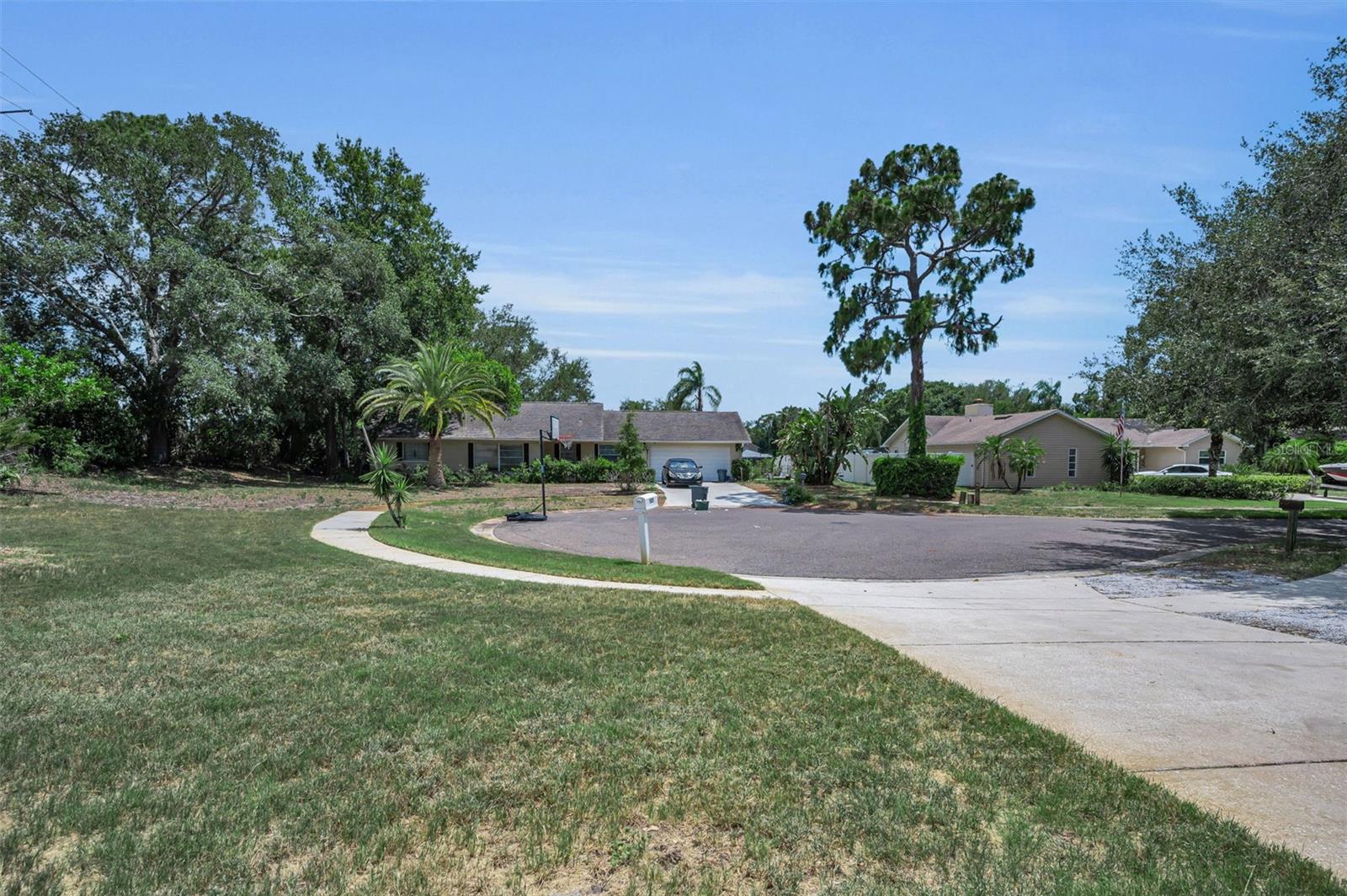 505 Whispering Oak Dr, Tarpon Springs, FL 34689 photo