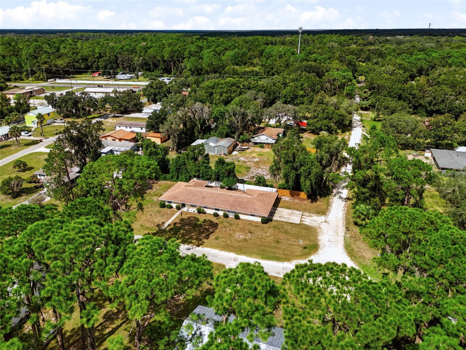12394 SE 139 Ave, Ocklawaha, FL 32179 photo