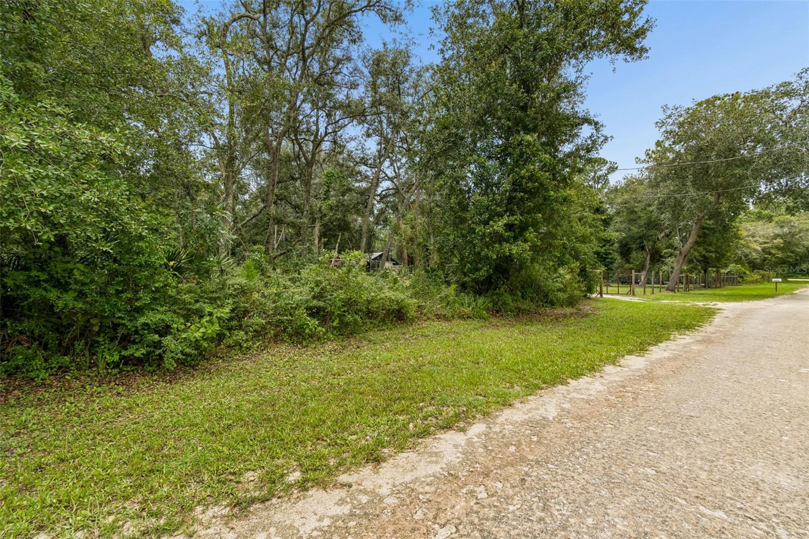 35314 Goethals St, Webster, FL 33597 photo