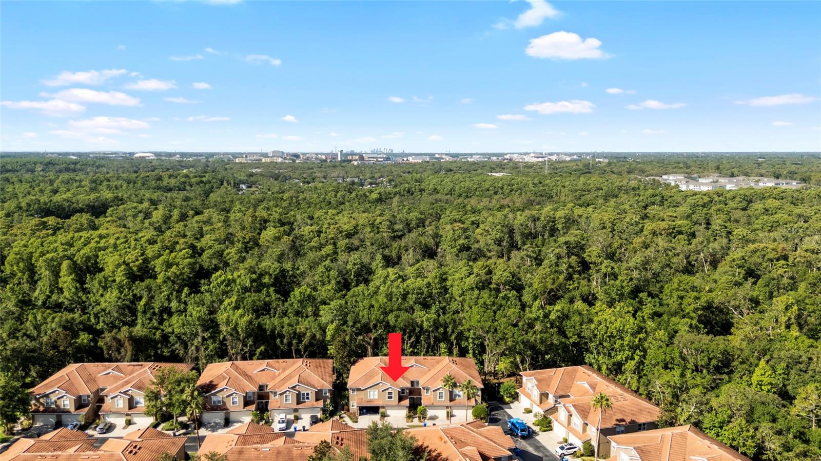 4920 Anniston Cir, Tampa, FL 33647 photo