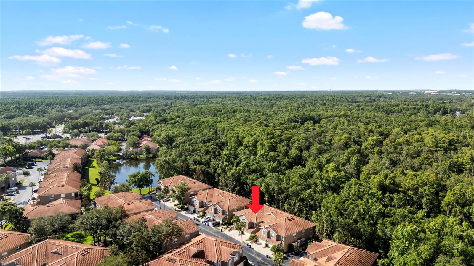 4920 Anniston Cir, Tampa, FL 33647 photo