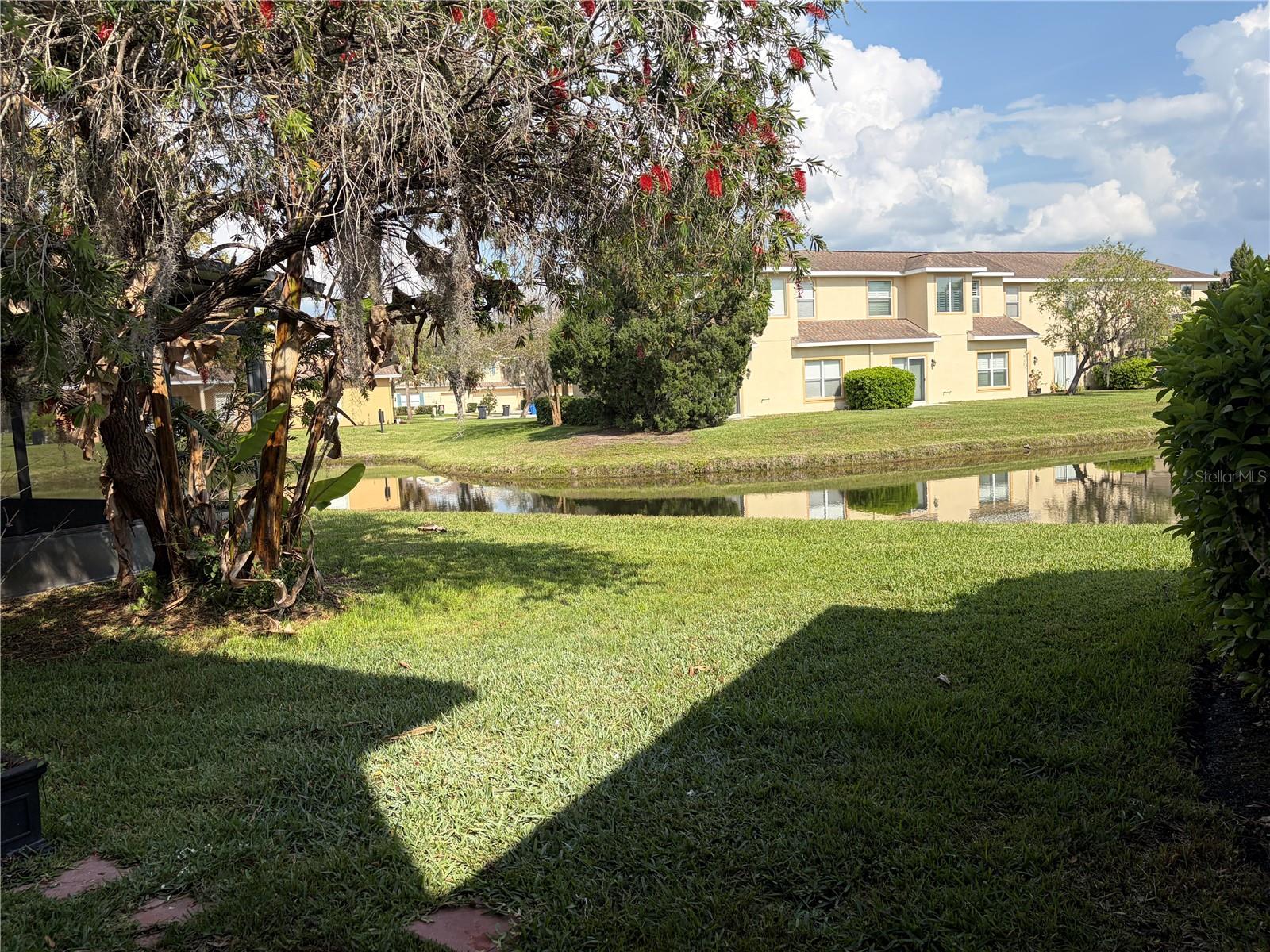 8914 Iron Oak, Tampa, FL 33647 photo