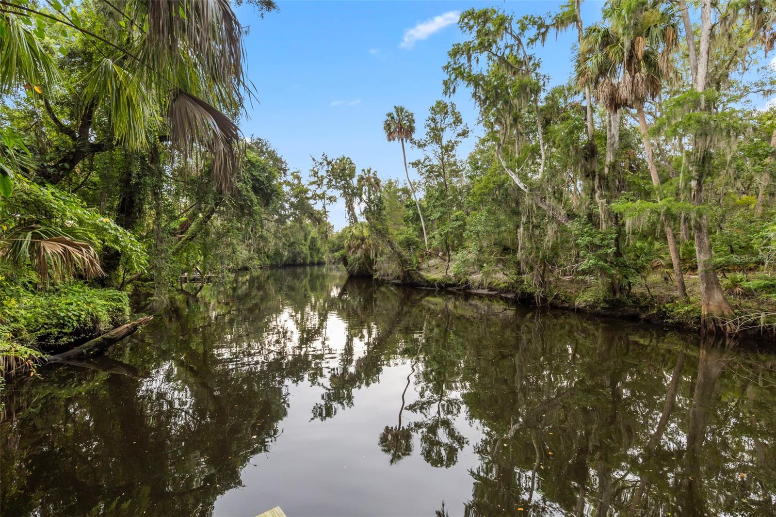 8312 Revels Rd, Riverview, FL 33569 photo
