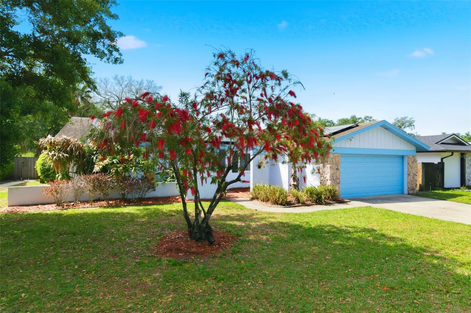2816 Rustic Oaks Dr, Palm Harbor, FL 34684 photo