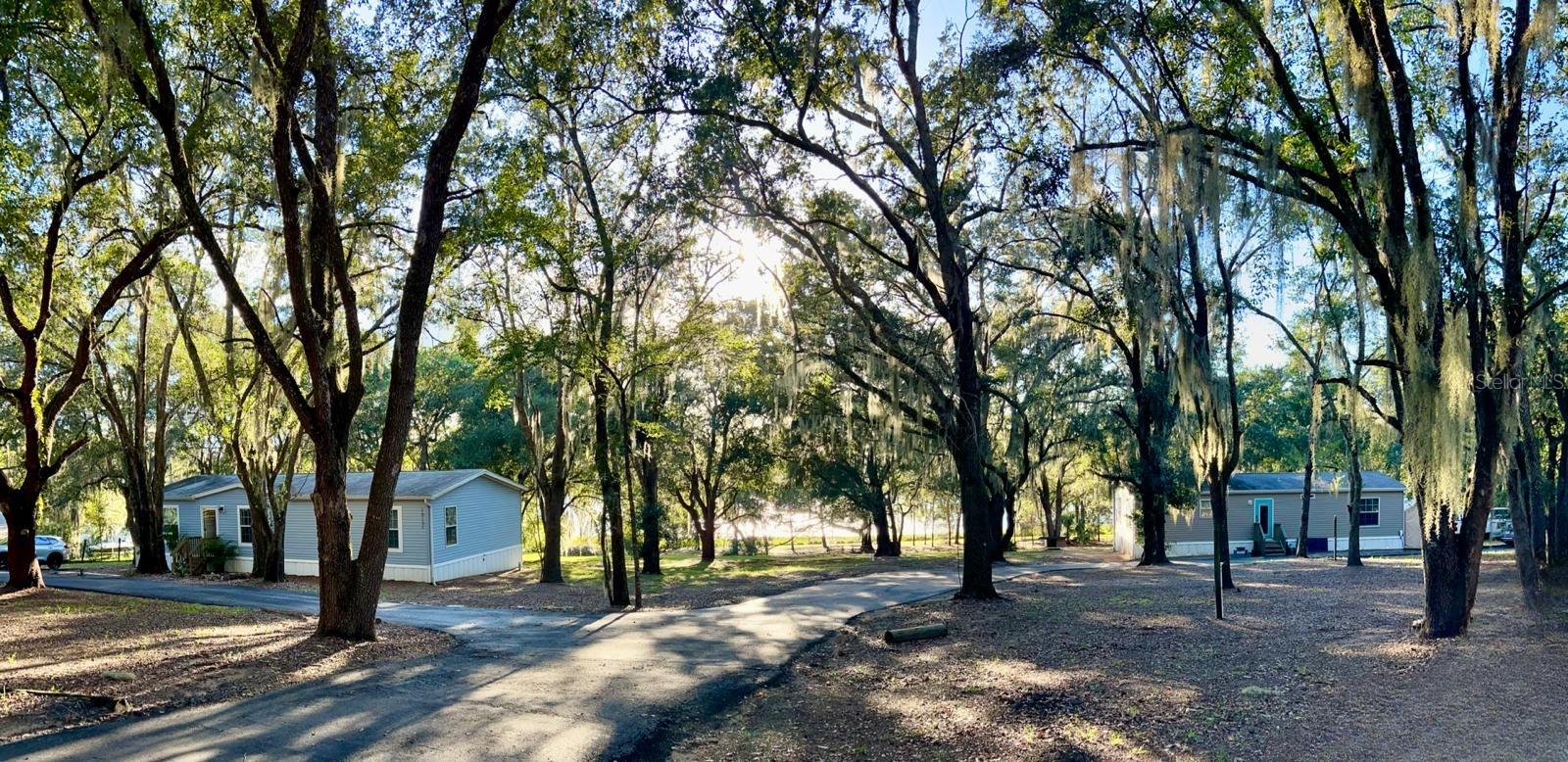 10135 Em En El Grove Rd, Leesburg, FL 34788
