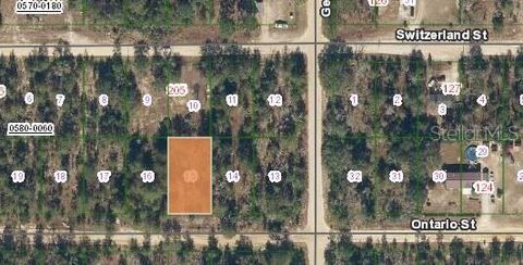  in INTERLACHEN FL 204 ONTARIO STREET.jpg