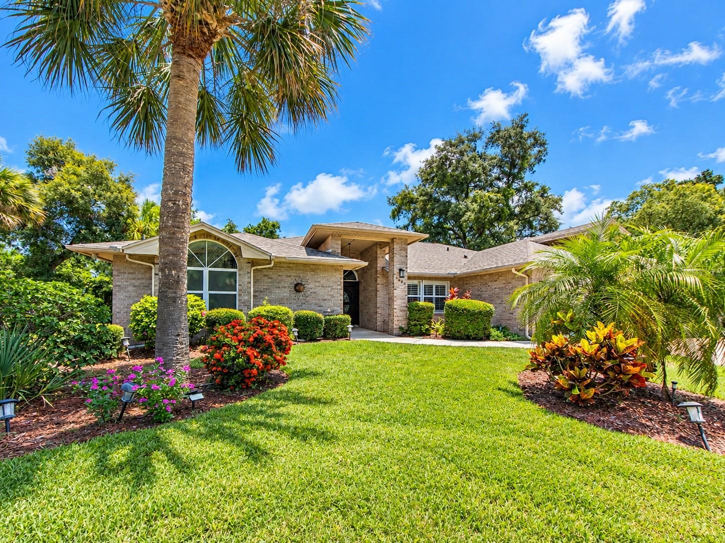 2899 Turtle Terrace, Palm Harbor, FL 34683 photo