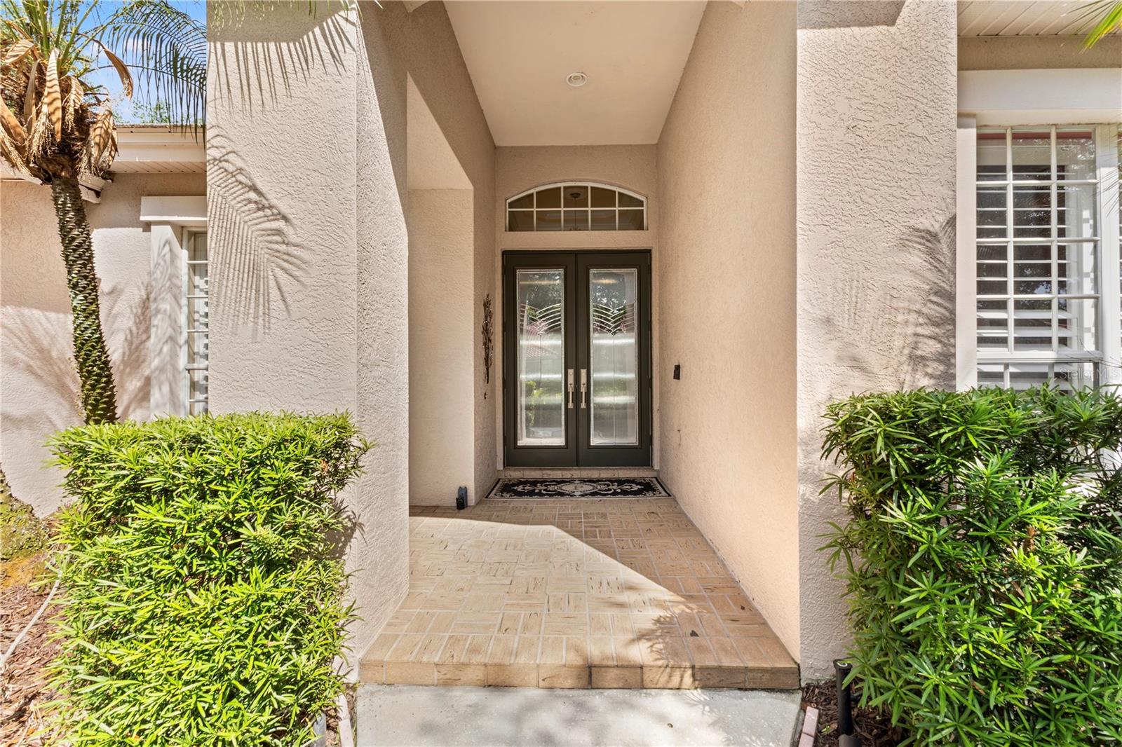 17861 Arbor Greene Dr, Tampa, FL 33647 photo