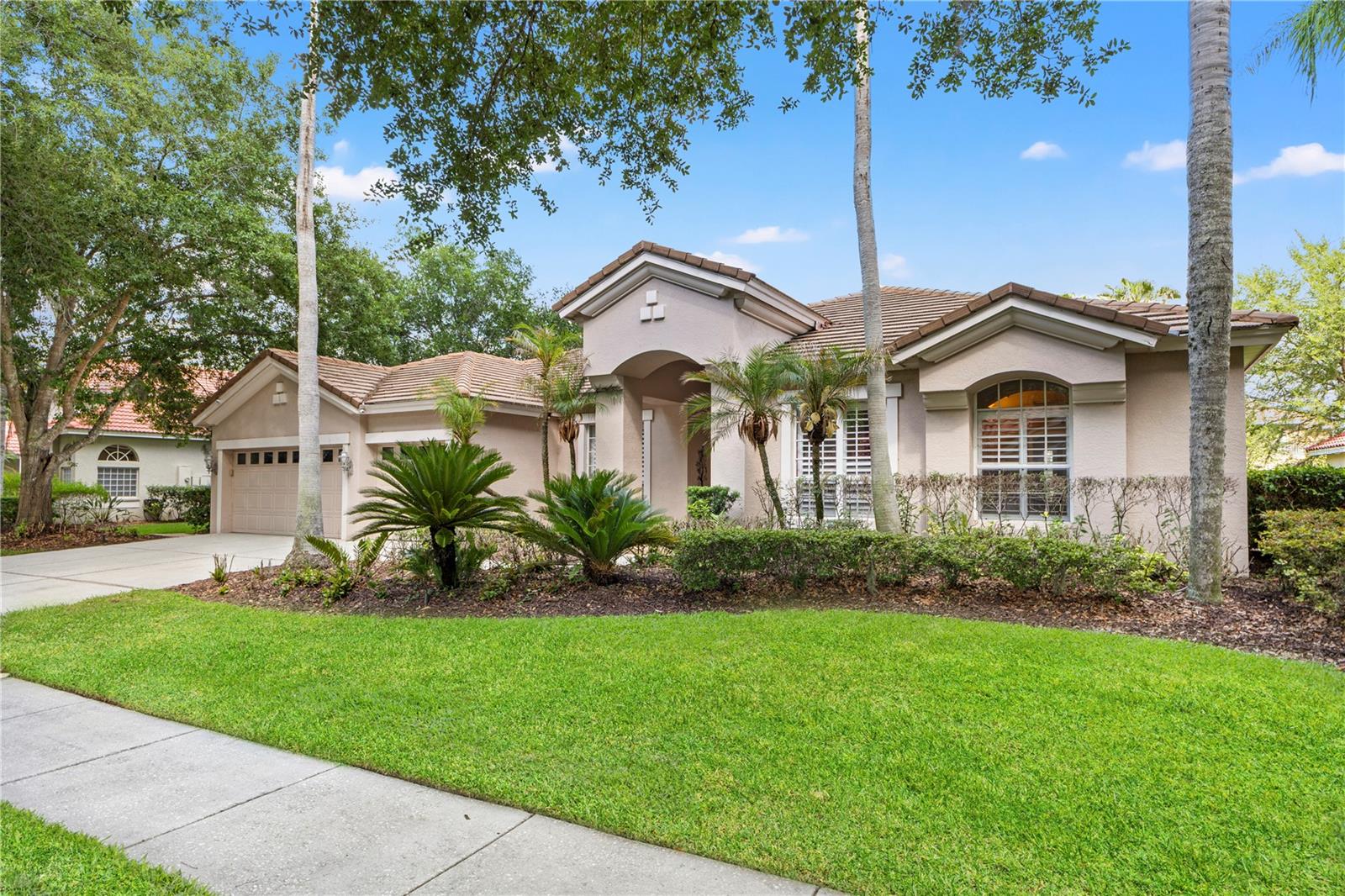 17861 Arbor Greene Dr, Tampa, FL 33647 photo