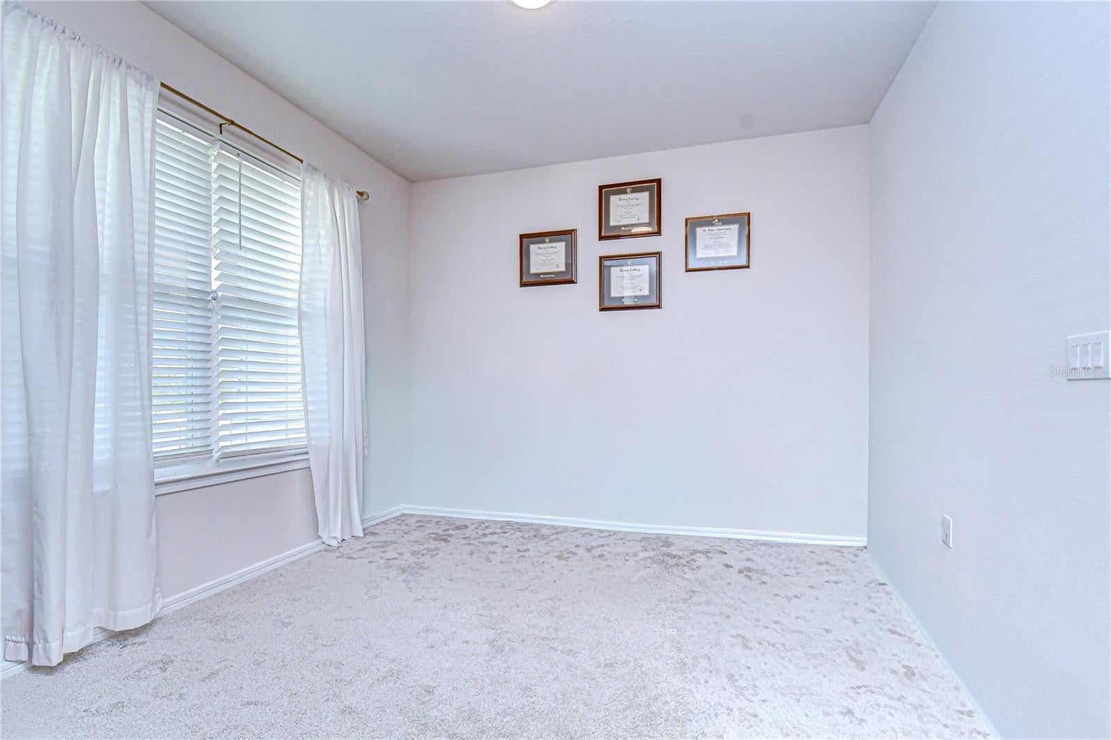 20978 Monza Loop, Land O Lakes, FL 34638 photo