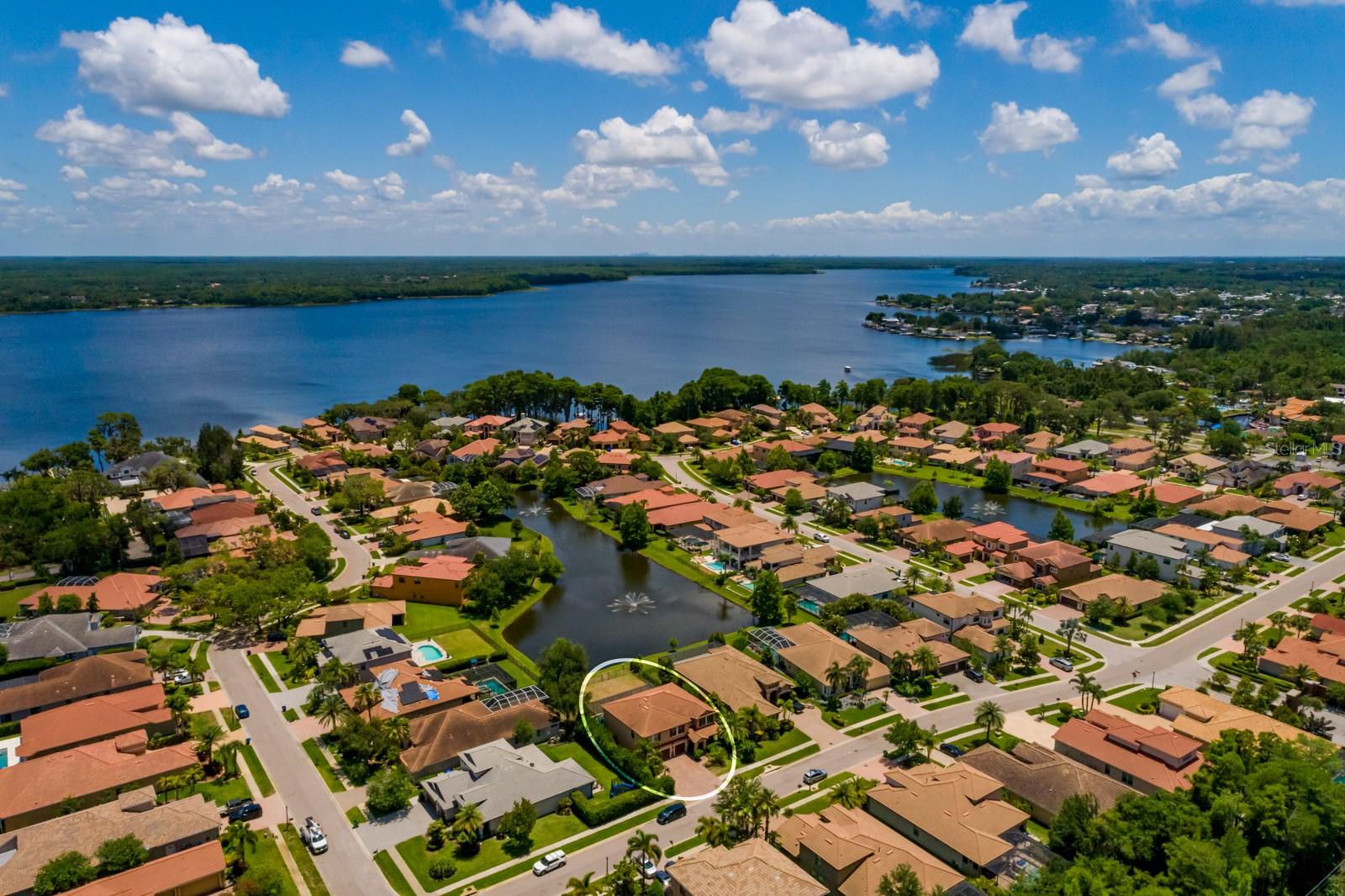 4611 Grand Preserve Pl, Palm Harbor, FL 34684 photo