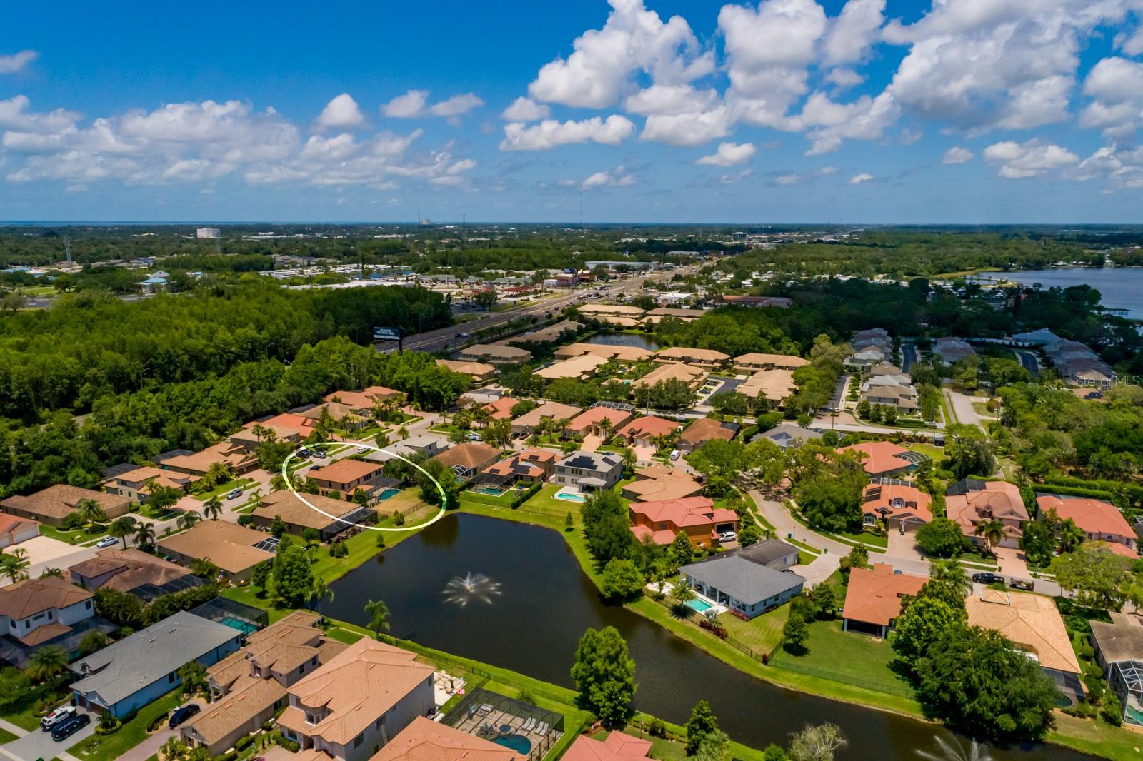 4611 Grand Preserve Pl, Palm Harbor, FL 34684 photo