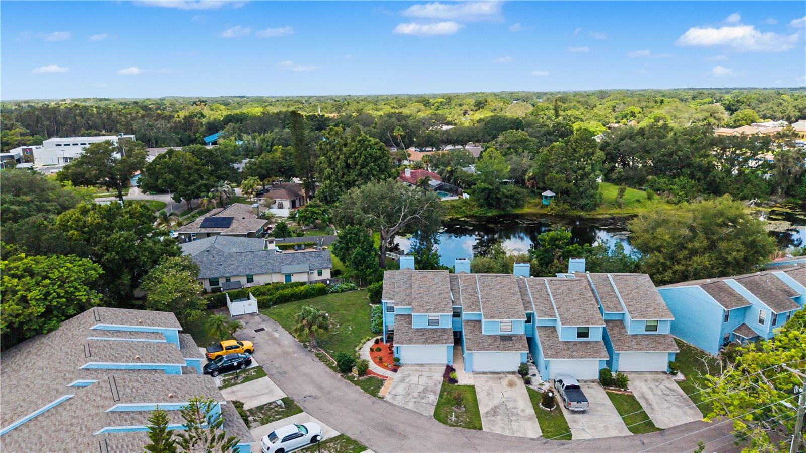13302 Arena Pl, Tampa, FL 33612 photo