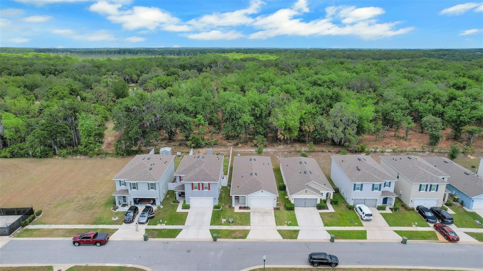30112 Armenia Rd, Leesburg, FL 34748 photo