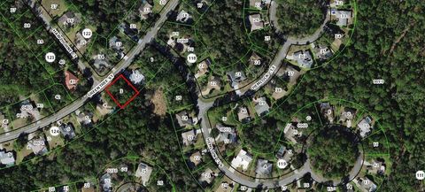  in HOMOSASSA FL 41 GREENTREE STREET.jpg