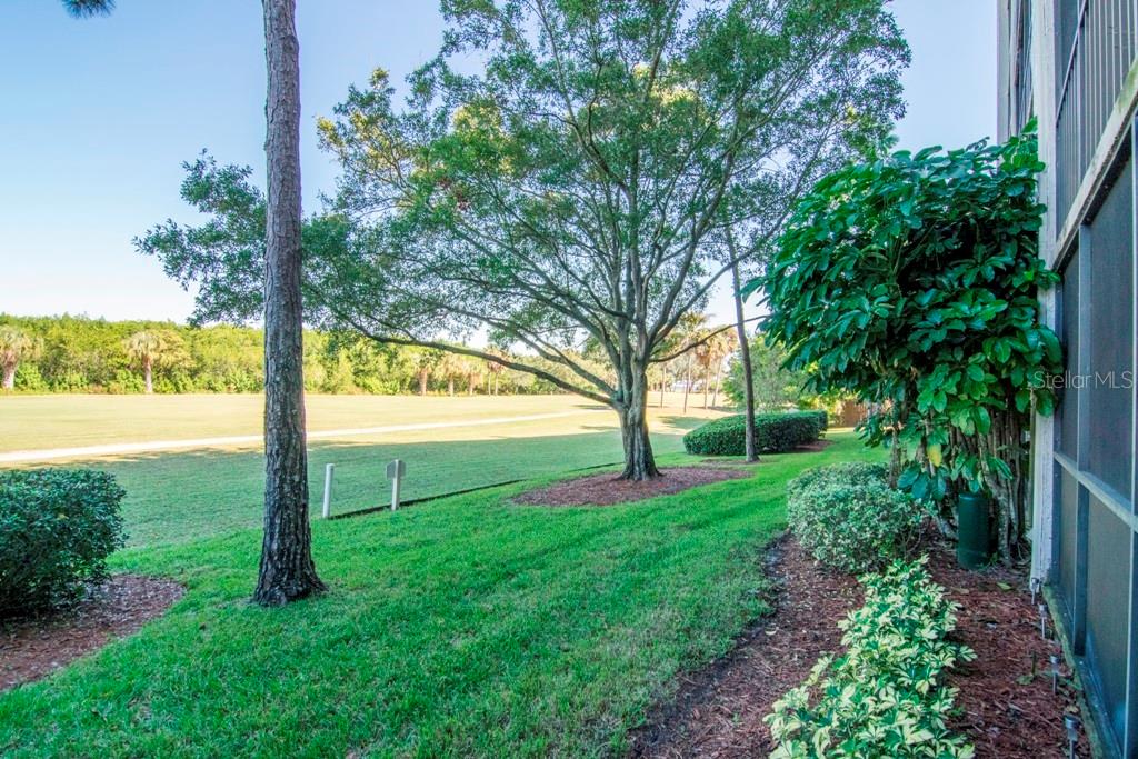 3300 Cove Cay Dr, Clearwater, FL 33760