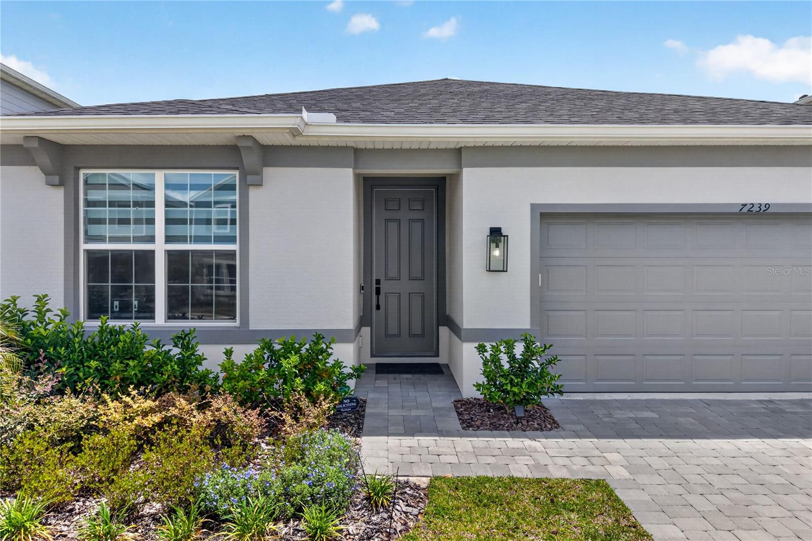 7239 Ivy Tendril Ave, Orlando, FL 32829 photo