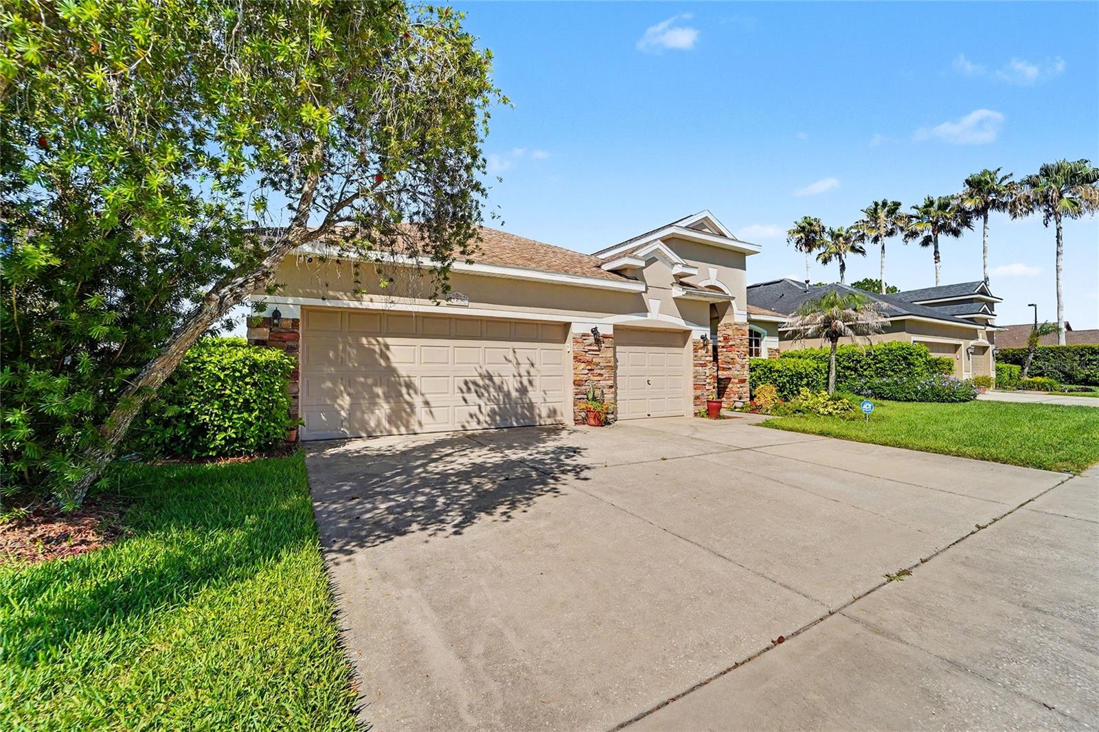 27236 Hollybrook Trl, Wesley Chapel, FL 33544 photo