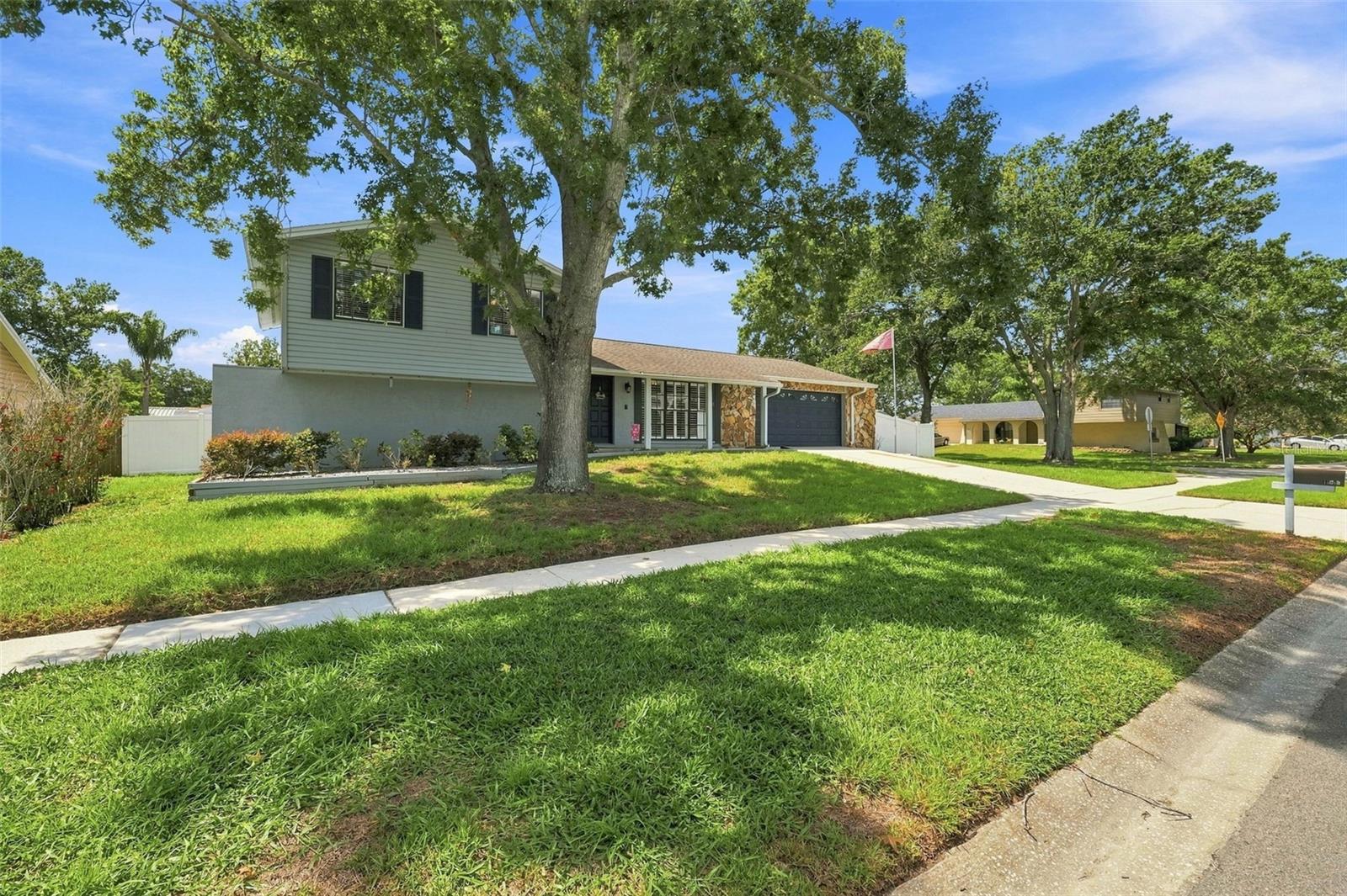 15868 Country Lake Dr, Tampa, FL 33624 photo
