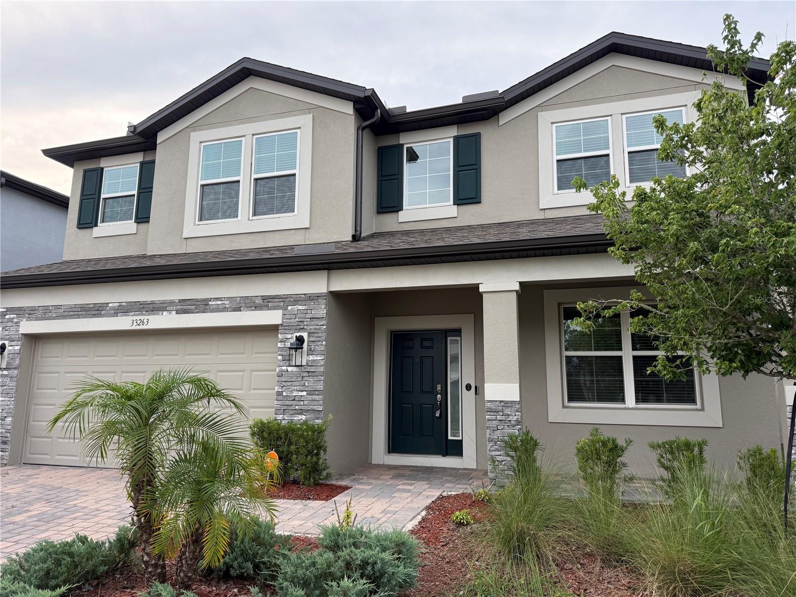 33263 Sycamore Leaf Dr, Wesley Chapel, FL 33545 photo