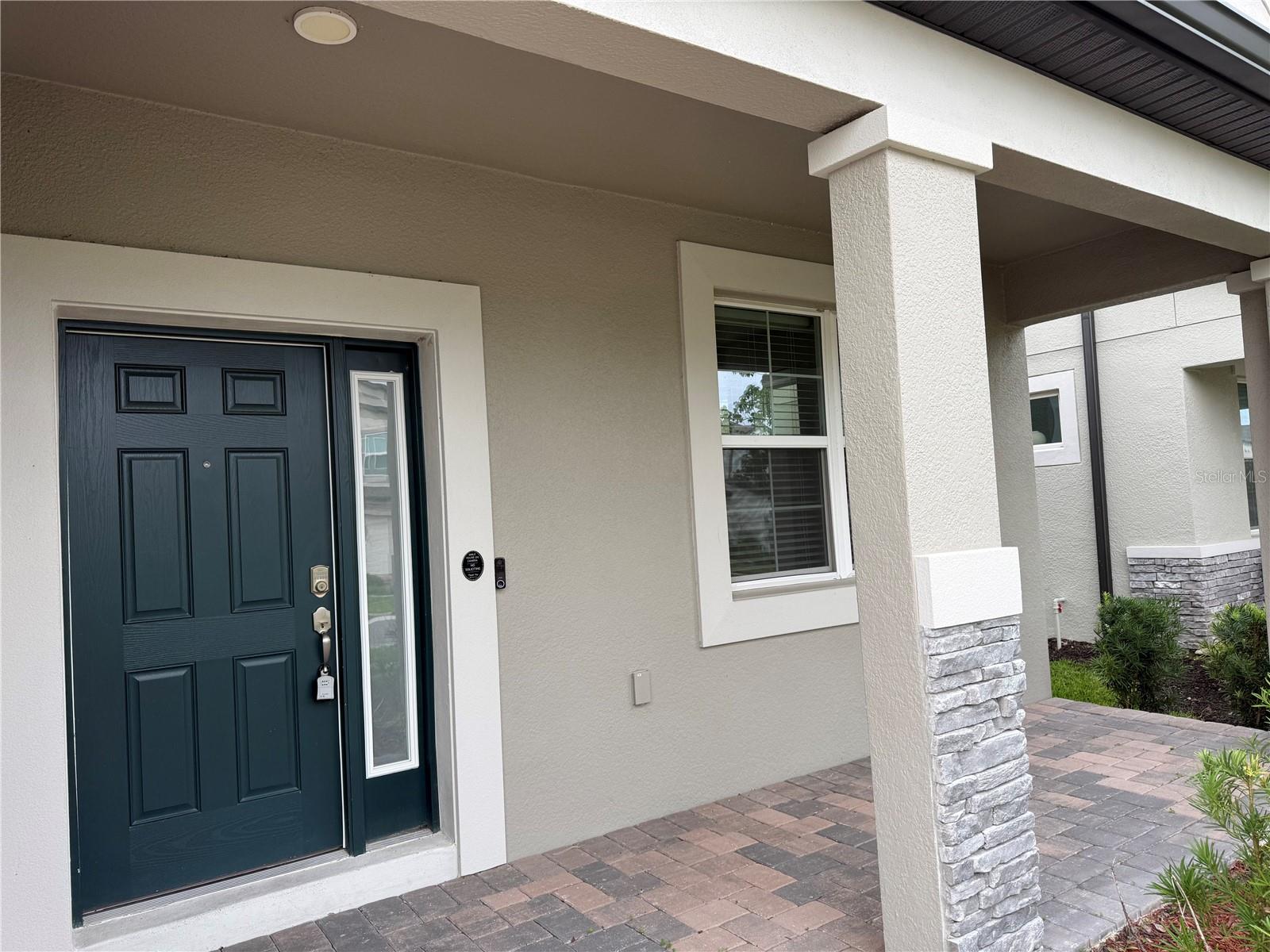 33263 Sycamore Leaf Dr, Wesley Chapel, FL 33545 photo
