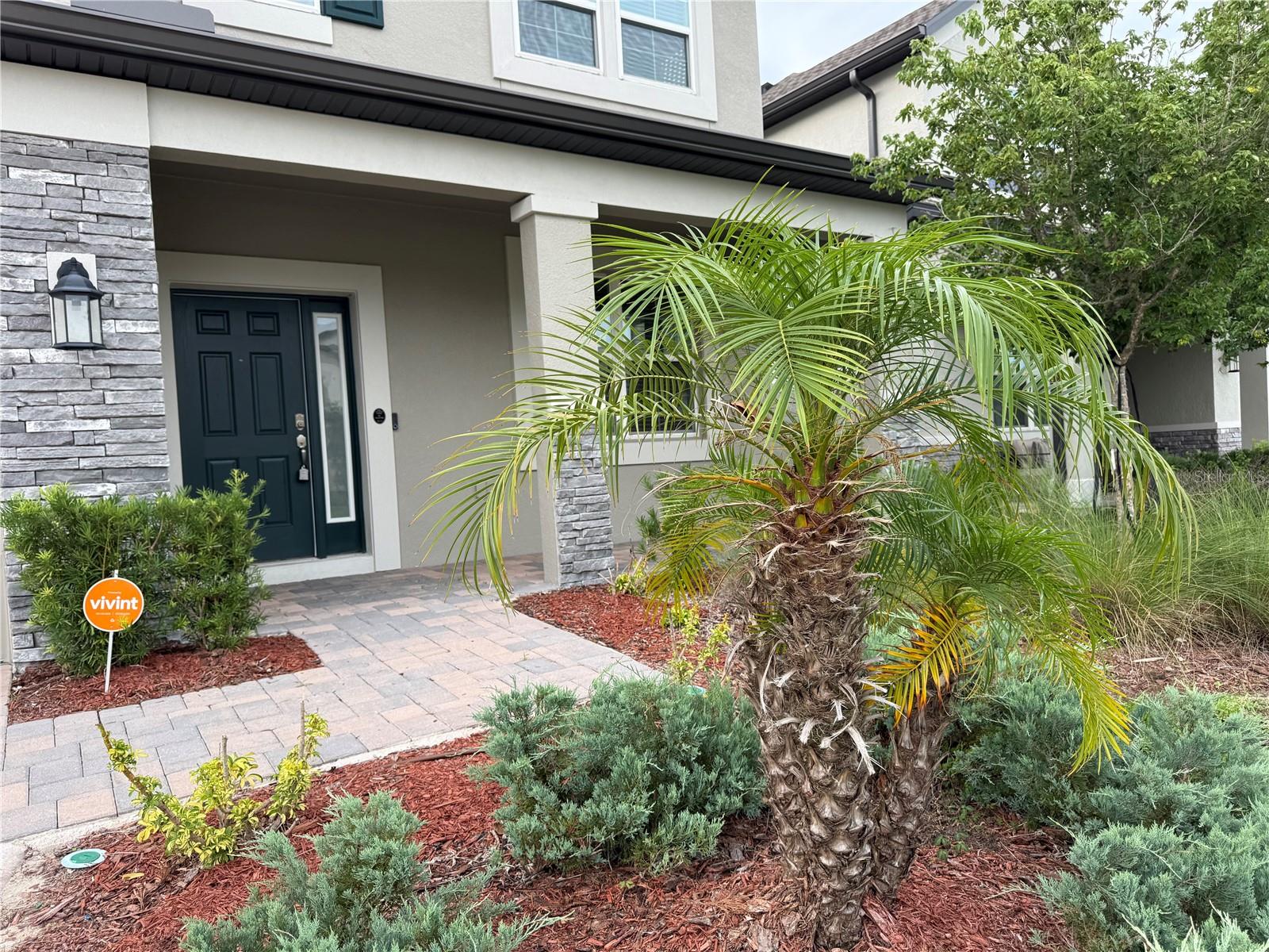 33263 Sycamore Leaf Dr, Wesley Chapel, FL 33545 photo
