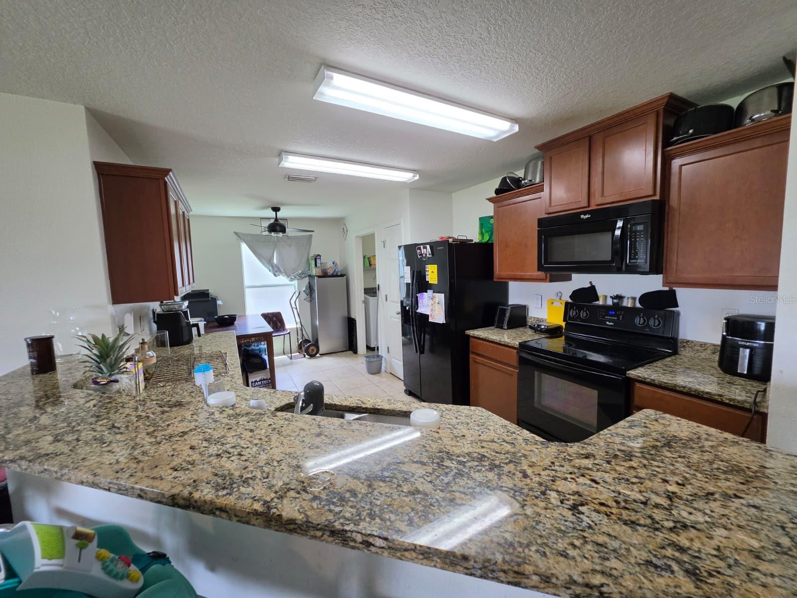 30990 Satinleaf Run, Brooksville, FL 34602 photo