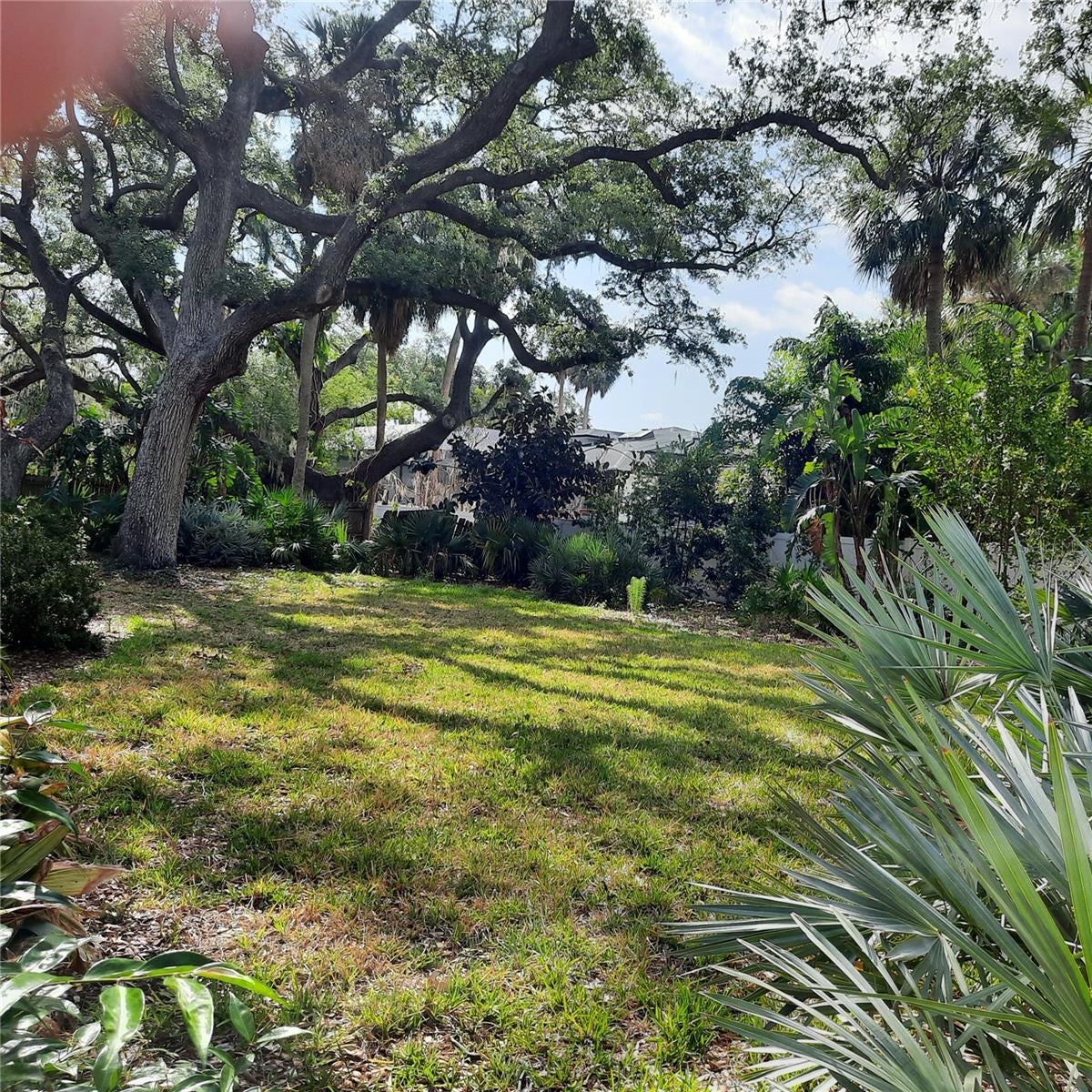 4806 W San Jose St, Tampa, FL 33629 photo