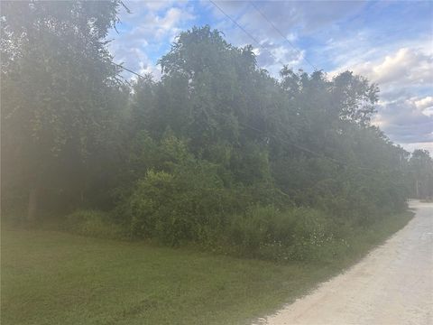  in RIDGE MANOR FL 6175 FAIRWAY DRIVE.jpg