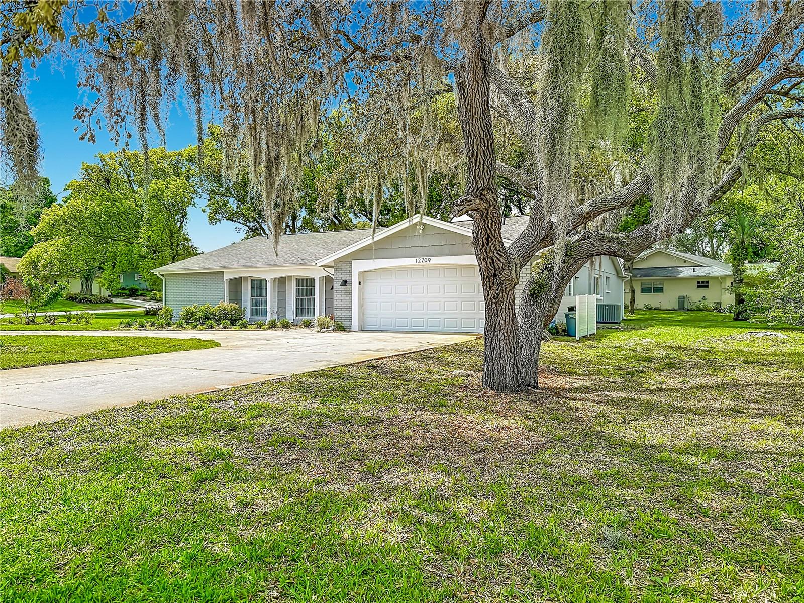 12709 Castleberry Ct, Hudson, FL 34667 photo