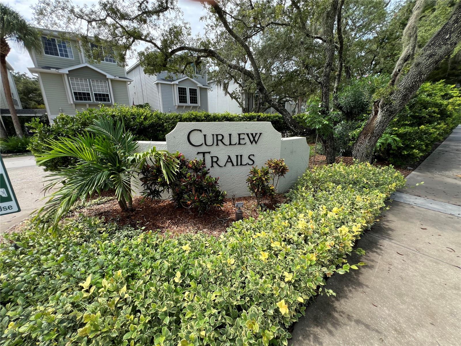 1383 Curlew Rd, Dunedin, FL 34698 photo