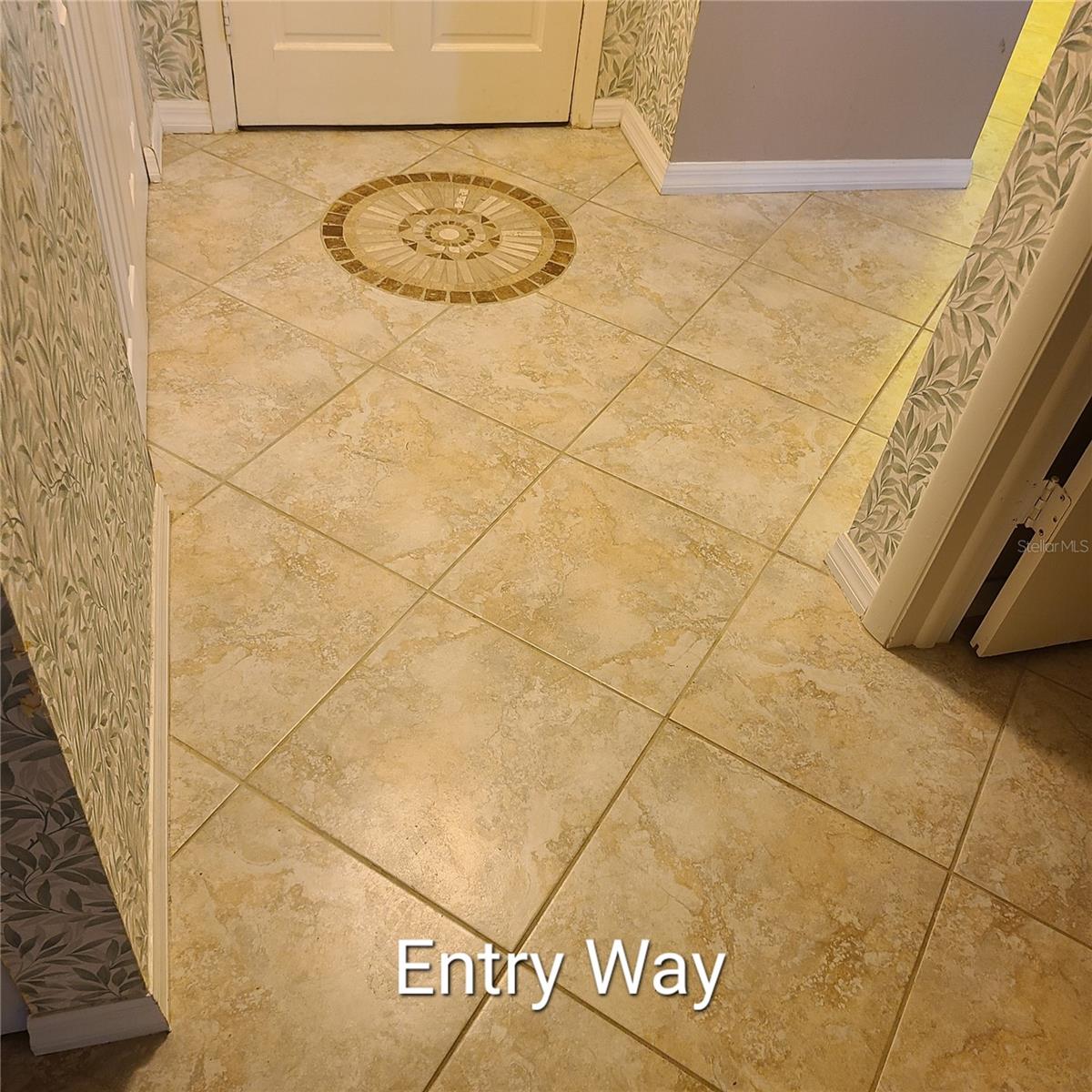 220 Buttonwood Cir #220, Seminole, FL 33777 photo