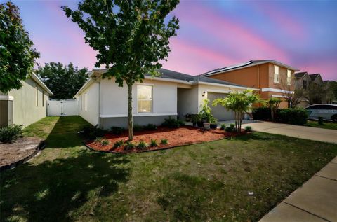 Single Family Residence in WIMAUMA FL 10603 MASSIMO DRIVE.jpg