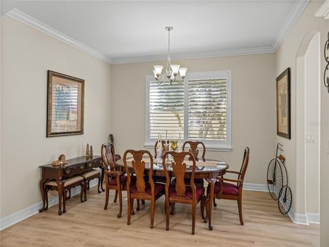 Townhouse in DADE CITY FL 13143 PALMILLA CIRCLE 22.jpg
