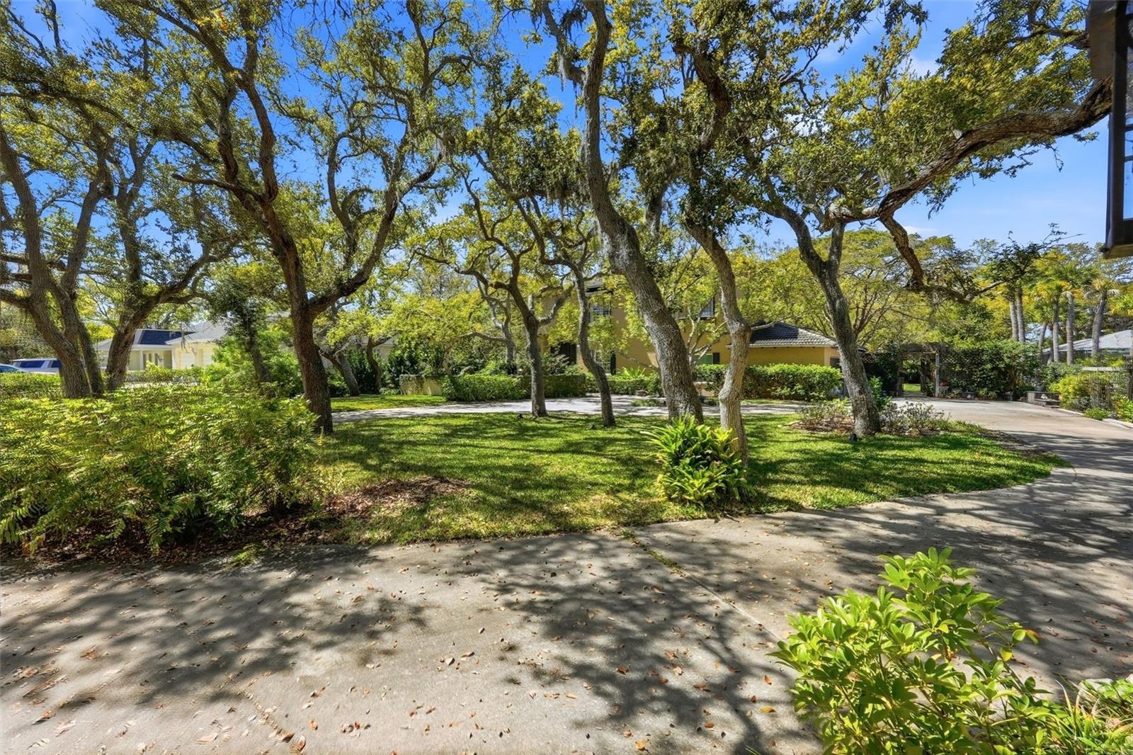10785 Danielle Dr, Largo, FL 33774 photo