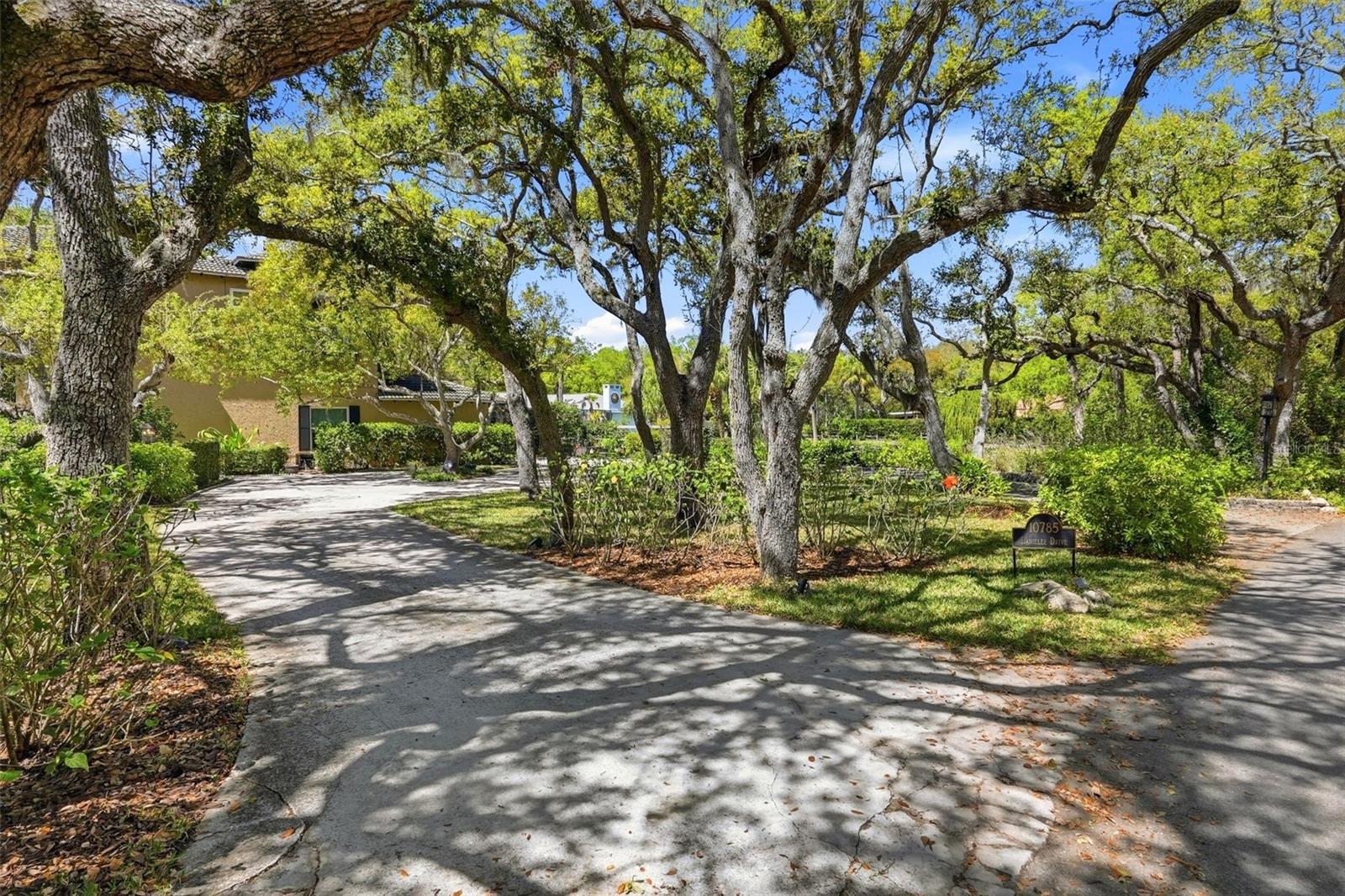10785 Danielle Dr, Largo, FL 33774 photo