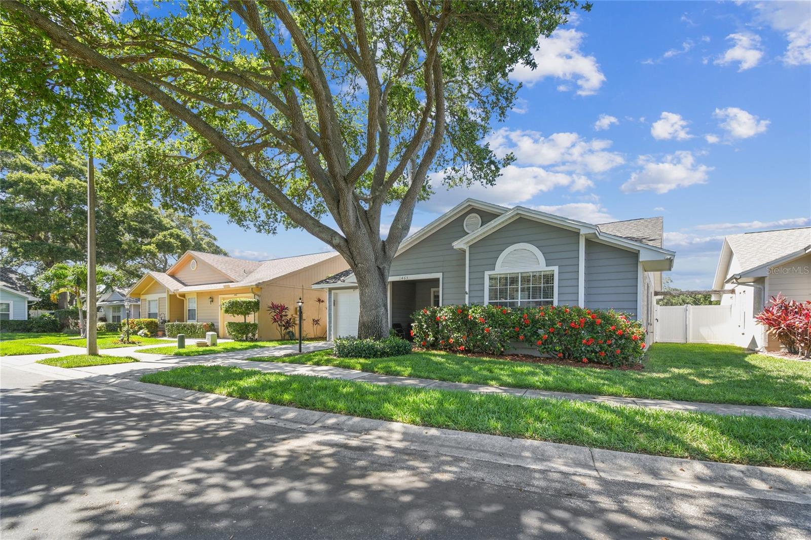 1465 Cairn Ct, Palm Harbor, FL 34683 photo
