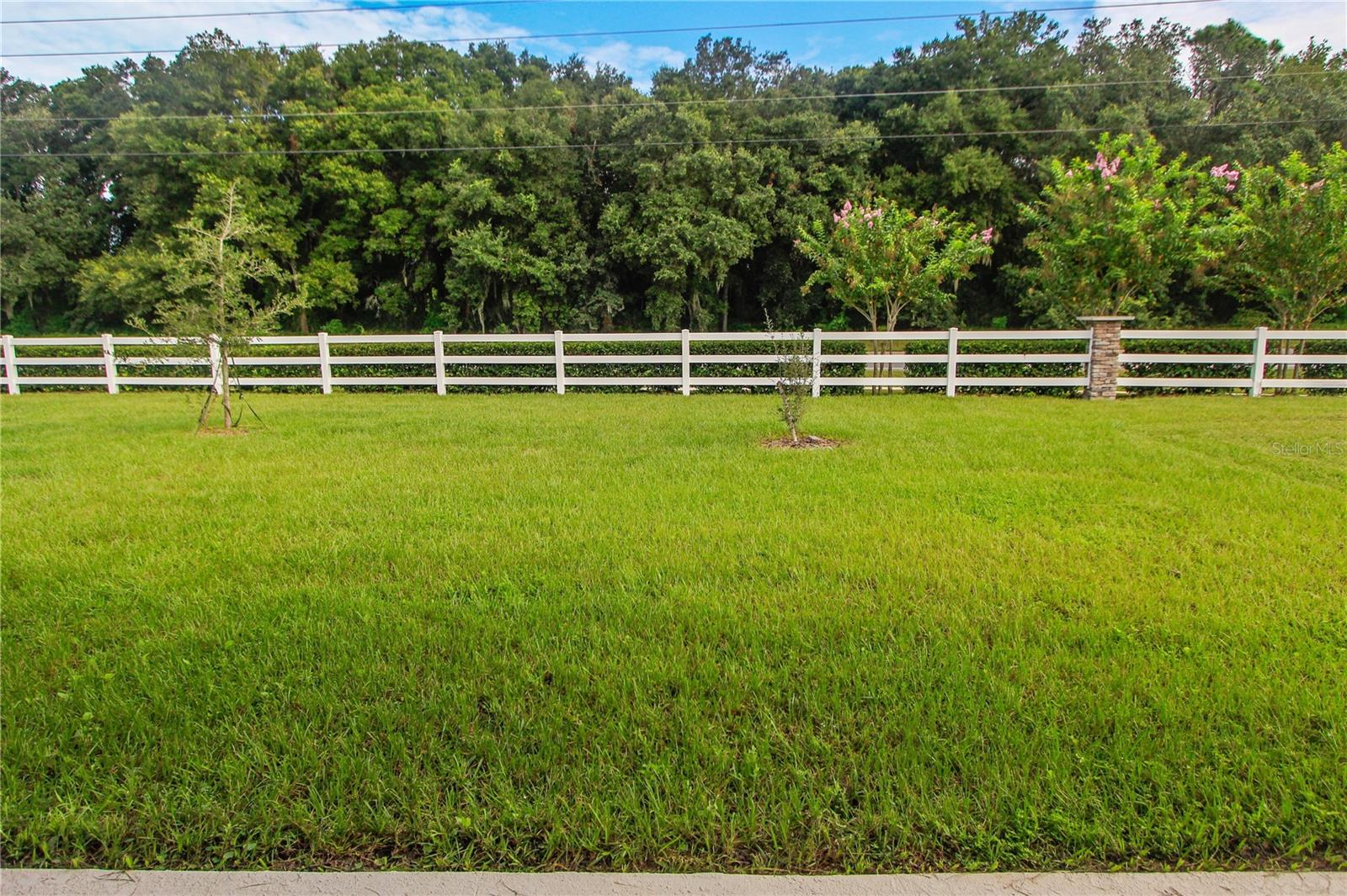 5208 Meadow Song Dr, Okahumpka, FL 34762 photo