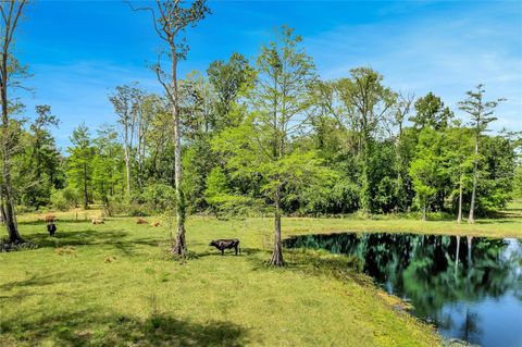  in ASTATULA FL TBD CORKWOOD LANE.jpg