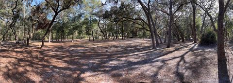  in SPRING HILL FL 16347 ALBRIGHT ROAD.jpg