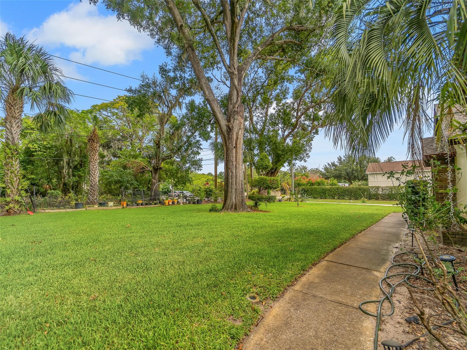1407 Hempel Ave, Windermere, FL 34786 photo